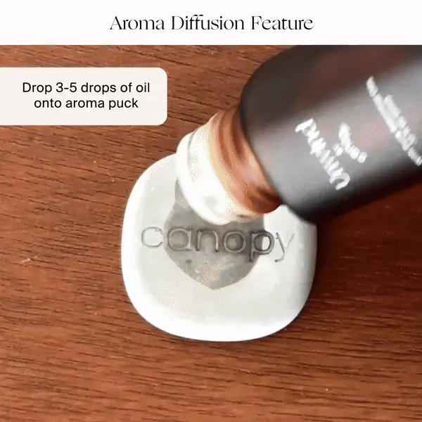 Canopy: Portable Humidifier