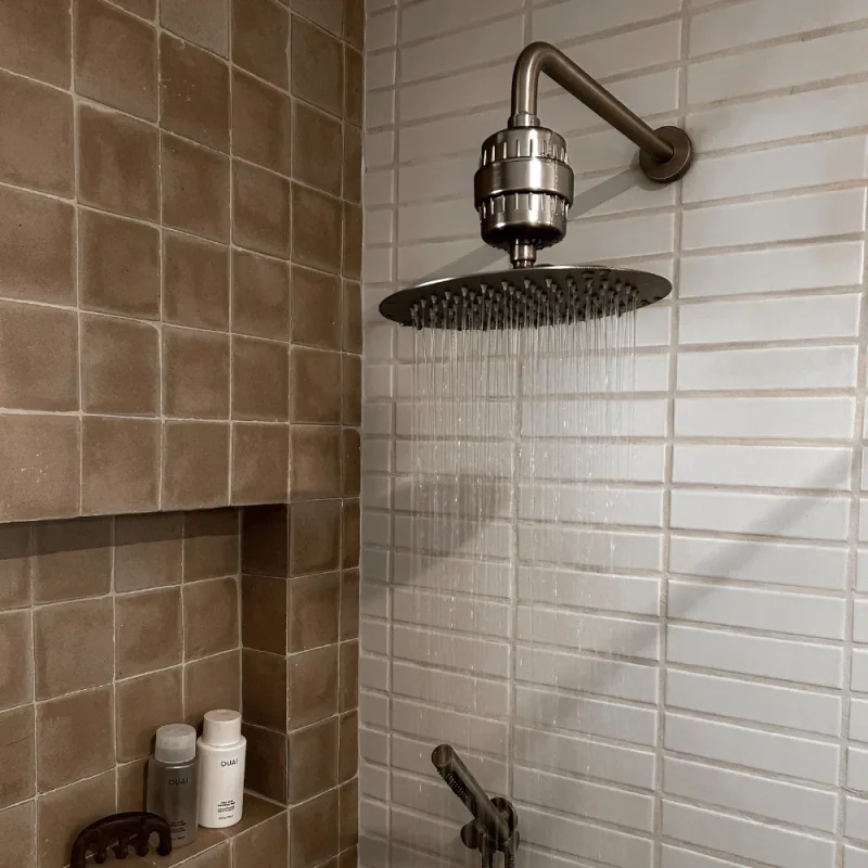 Shower Filter